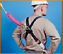 Miller Harness