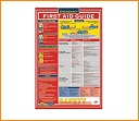First Aid Poster