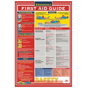First Aid Guide 18" x 24" Poster