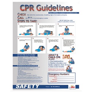 CPR Guidelines 18" x 24" Poster