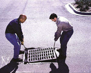 Drain guard deals