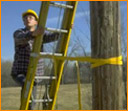 Laddermate Ladder Safety
