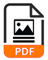  PDF Sales Flyer Icon